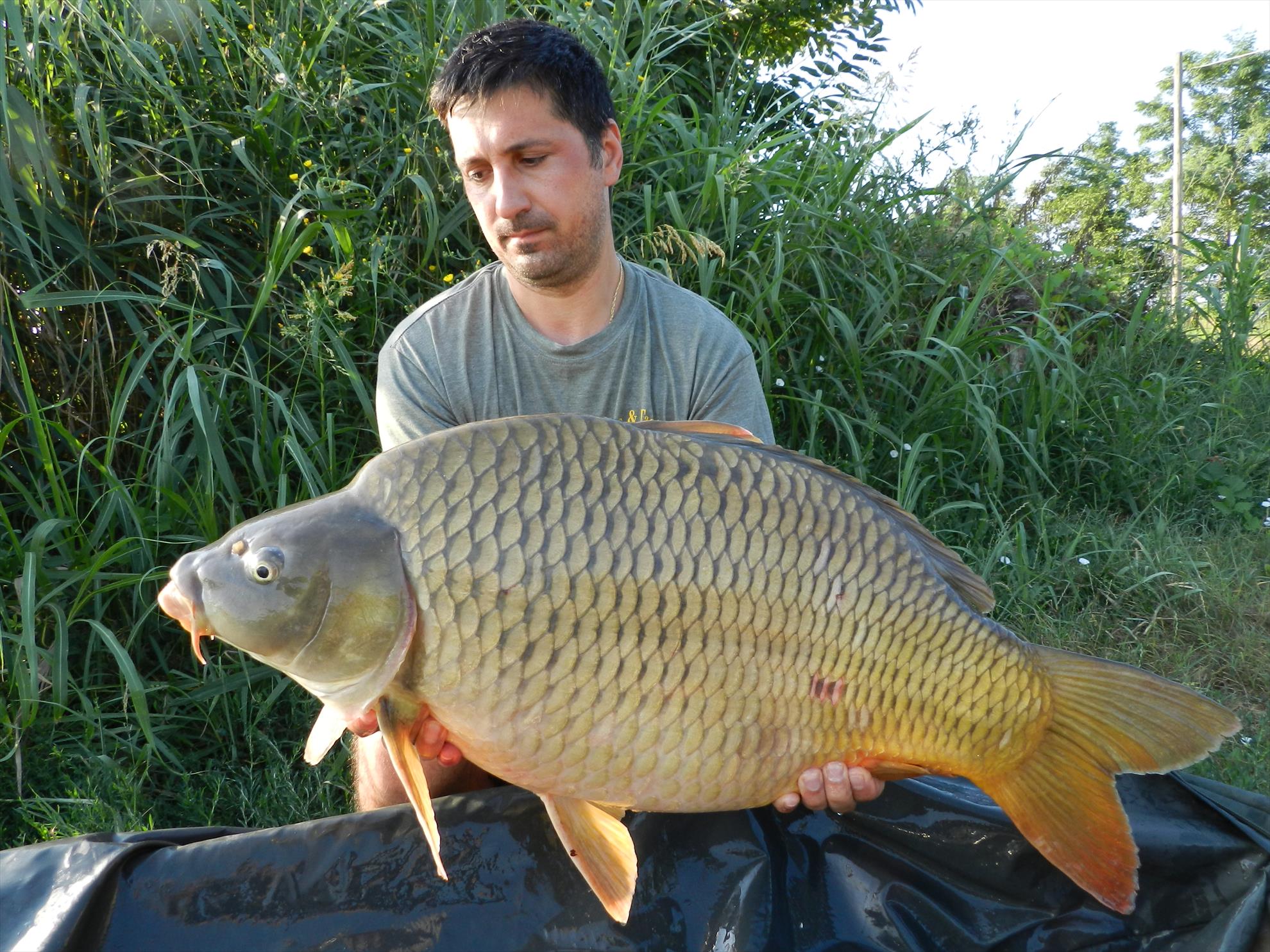 2015/iulie capturi - dscn4060.JPG